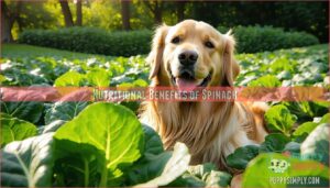 nutritional benefits of spinach