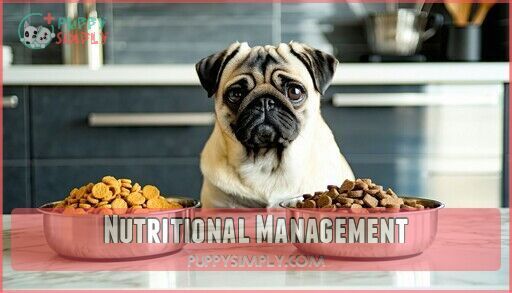 Pug Lifespan: How Long Do Pugs Live? Expert Tips to Extend Life