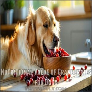 nutritional value of cranberries for dogs