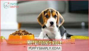 nutrition's role