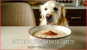 oatmeal and cinnamon safety