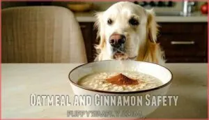oatmeal and cinnamon safety