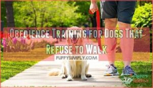 obedience training for dogs that refuse to walk