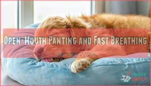 open-mouth panting and fast breathing
