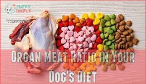 organ meat ratio in your dog's diet