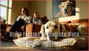 other factors to consider when deciding to euthanize