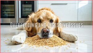 overfeeding and digestive issues