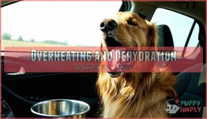 overheating and dehydration