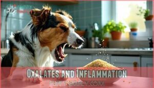 oxalates and inflammation