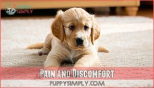 pain and discomfort