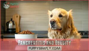pancreatitis and obesity