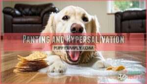 panting and hypersalivation