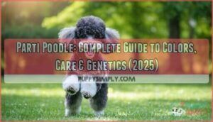 parti poodle