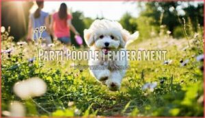 parti poodle temperament
