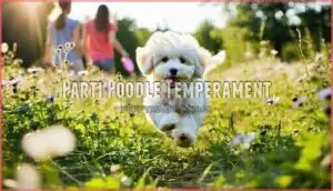 parti poodle temperament parti poodle temperament