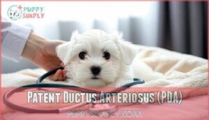 patent ductus arteriosus (pda)