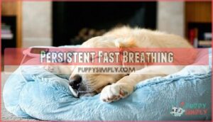 persistent fast breathing