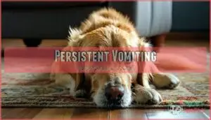 persistent vomiting