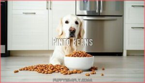 pinto beans
