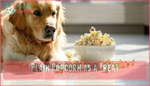 plain popcorn as a treat