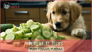 potential risks