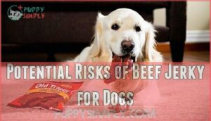 potential risks of beef jerky for dogs