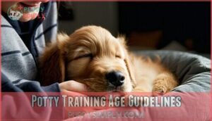 potty training age guidelines