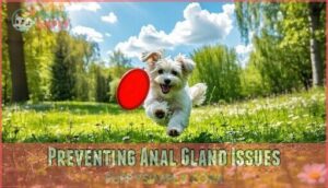 preventing anal gland issues