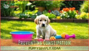 preventing constipation