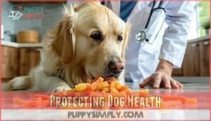 protecting dog health
