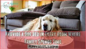 provide a dog bed in every room where family spends time