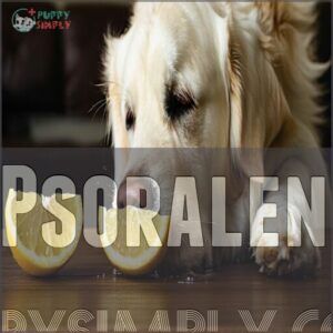 psoralen