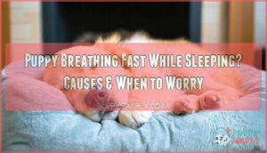 puppy breathing fast while sleeping