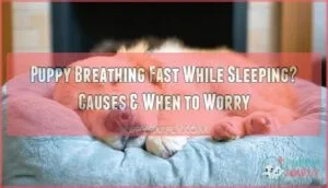 puppy breathing fast while sleeping