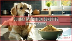 quinoa nutrition benefits