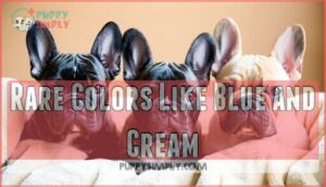 rare colors like blue and cream