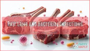 raw lamb and bacterial infections