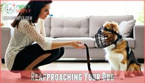 reapproaching your dog