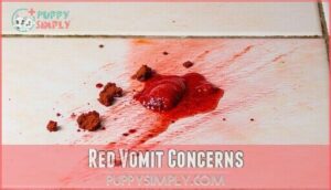 red vomit concerns