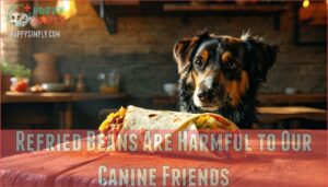 refried beans are harmful to our canine friends