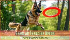 regular exercise needs