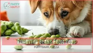 removing beans from pods