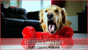 resource guarding