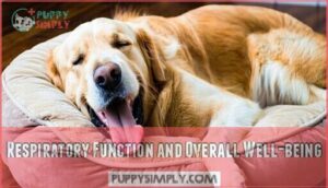 respiratory function and overall well-being