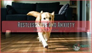 restlessness and anxiety