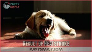 result of heatstroke