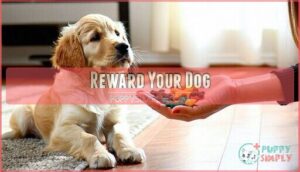 reward your dog