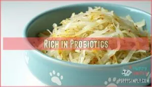 rich in probiotics