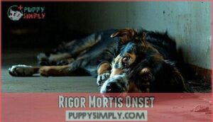 rigor mortis onset