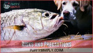 risks and precautions